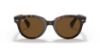 Picture of Ray Ban Sunglasses RB2199