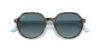 Picture of Ray Ban Sunglasses RB2195