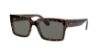 Picture of Ray Ban Sunglasses RB2191