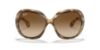 Picture of Ray Ban Sunglasses RB4098