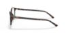 Picture of Ray Ban Eyeglasses RX5393