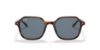 Picture of Ray Ban Sunglasses RB2194