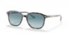 Picture of Ray Ban Sunglasses RB2193