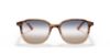 Picture of Ray Ban Sunglasses RB2193
