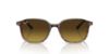 Picture of Ray Ban Sunglasses RB2193