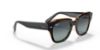 Picture of Ray Ban Sunglasses RB2186