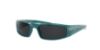 Picture of Ray Ban Sunglasses RB4335