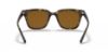 Picture of Ray Ban Sunglasses RB4323