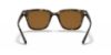 Picture of Ray Ban Sunglasses RB4323
