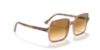 Picture of Ray Ban Sunglasses RB1973