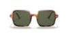 Picture of Ray Ban Sunglasses RB1973