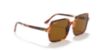 Picture of Ray Ban Sunglasses RB1973