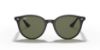 Picture of Ray Ban Sunglasses RB4305F
