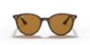 Picture of Ray Ban Sunglasses RB4305F