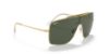 Picture of Ray Ban Sunglasses RB3697