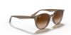 Picture of Ray Ban Sunglasses RB4305