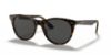 Picture of Ray Ban Sunglasses RB2185