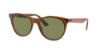 Picture of Ray Ban Sunglasses RB2185