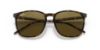 Picture of Ray Ban Sunglasses RB4387