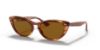 Picture of Ray Ban Sunglasses RB4314N