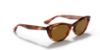 Picture of Ray Ban Sunglasses RB4314N