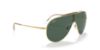 Picture of Ray Ban Sunglasses RB3597