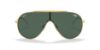Picture of Ray Ban Sunglasses RB3597