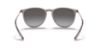 Picture of Ray Ban Sunglasses RB4171