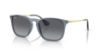 Picture of Ray Ban Sunglasses RB4187F