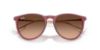 Picture of Ray Ban Sunglasses RB4171F
