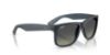Picture of Ray Ban Sunglasses RB4165F