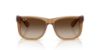 Picture of Ray Ban Sunglasses RB4165F