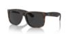 Picture of Ray Ban Sunglasses RB4165F