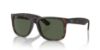 Picture of Ray Ban Sunglasses RB4165F
