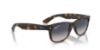 Picture of Ray Ban Sunglasses RB2132F