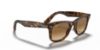 Picture of Ray Ban Sunglasses RB4340