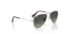Picture of Ray Ban Sunglasses RJ9506S