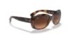 Picture of Ray Ban Sunglasses RB4101