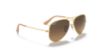Picture of Ray Ban Sunglasses RB3025