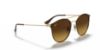 Picture of Ray Ban Sunglasses RB3546