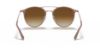 Picture of Ray Ban Sunglasses RB3546