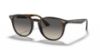 Picture of Ray Ban Sunglasses RB4259