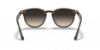Picture of Ray Ban Sunglasses RB4259