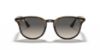 Picture of Ray Ban Sunglasses RB4259