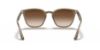 Picture of Ray Ban Sunglasses RB4258F