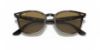Picture of Ray Ban Sunglasses RB4258F