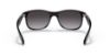 Picture of Ray Ban Sunglasses RB4202 Andy