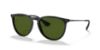 Picture of Ray Ban Sunglasses RB4171F Erika (F)