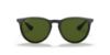 Picture of Ray Ban Sunglasses RB4171F Erika (F)