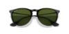 Picture of Ray Ban Sunglasses RB4171F Erika (F)
